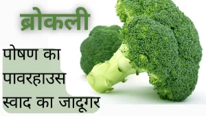 ब्रोकली: पोषण का पावरहाउस, स्वाद का जादूगर (Broccoli: A powerhouse of nutrition, a magician of taste) | SindhiZaika.com