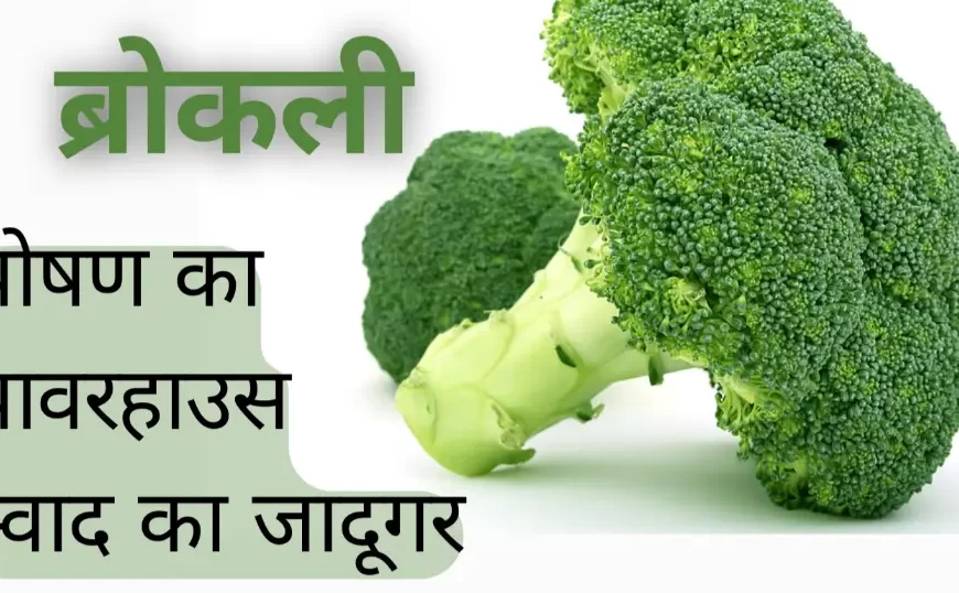 ब्रोकली: पोषण का पावरहाउस, स्वाद का जादूगर (Broccoli: A powerhouse of nutrition, a magician of taste) | SindhiZaika.com